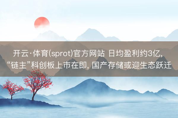 开云·体育(sprot)官方网站 日均盈利约3亿, “链主”科创板上市在即, 国产存储或迎生态跃迁